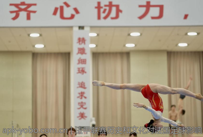 法甲联赛历史和文化对法国足球影响