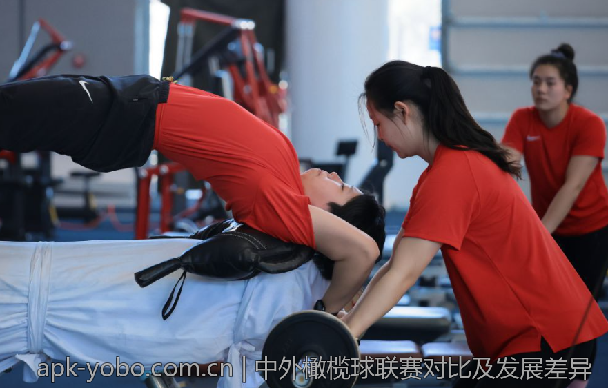 中外橄榄球联赛对比及发展差异