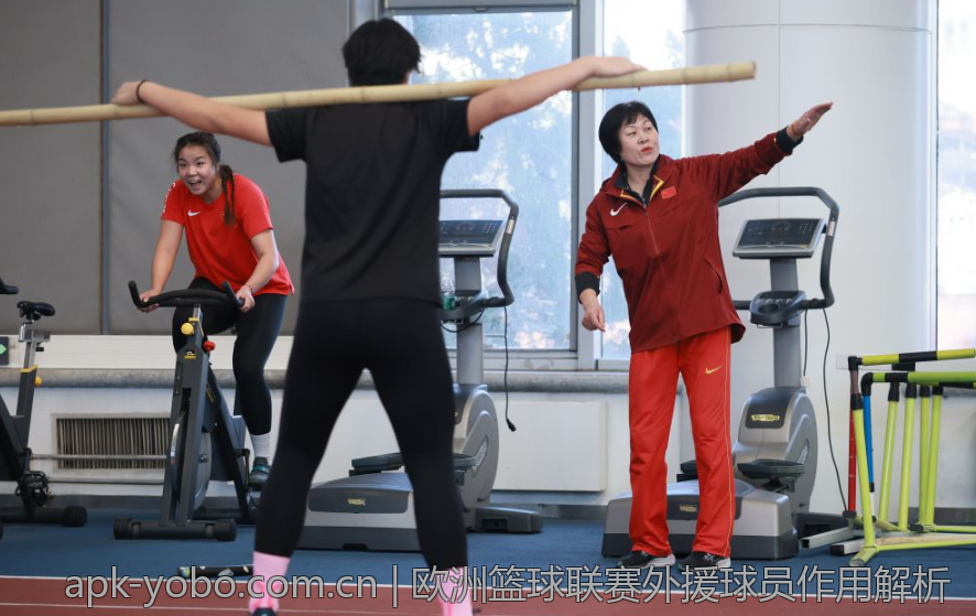 欧洲篮球联赛外援球员作用解析