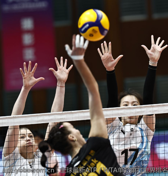 全球最新ATP／WTA单打单打世界排名榜详尽报道
