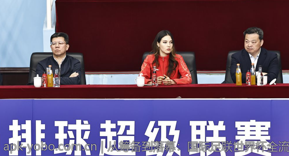 从筹备到落幕：国际足联世界杯全流程解读