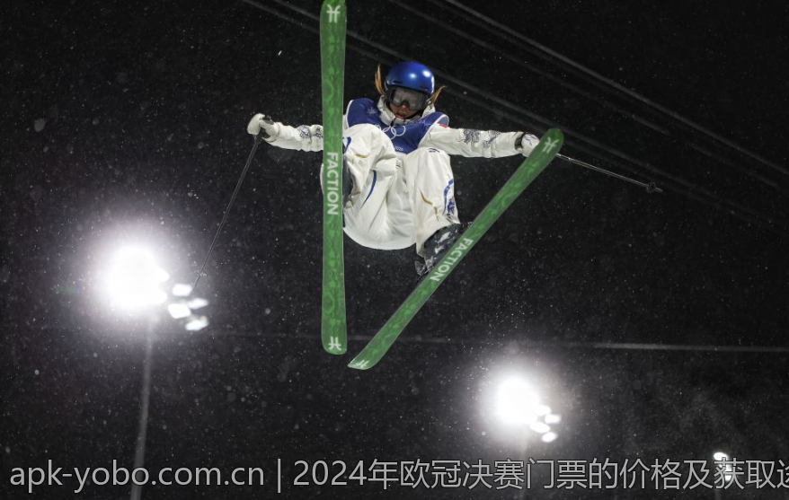 2024年欧冠决赛门票的价格及获取途径指南