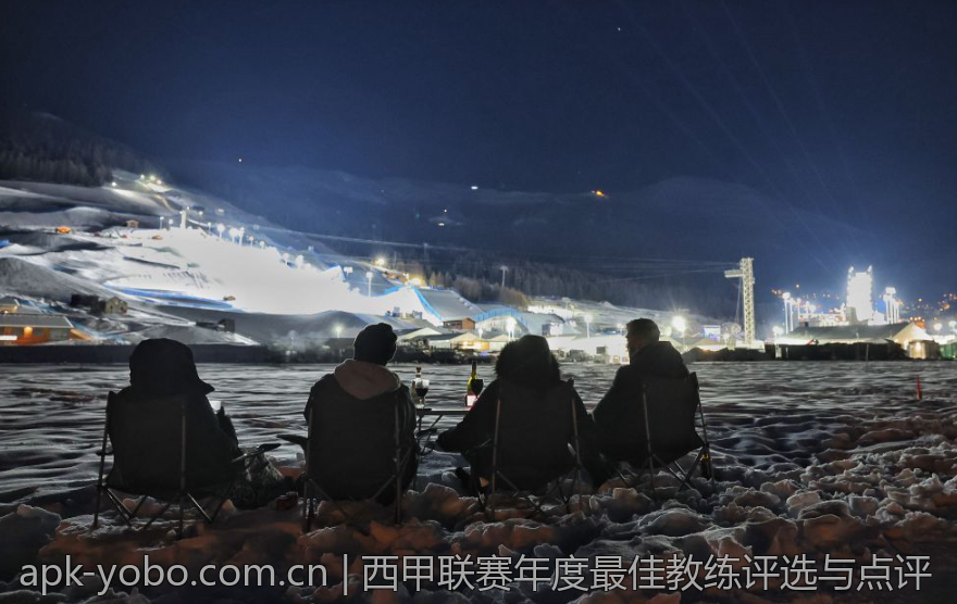 西甲联赛年度最佳教练评选与点评