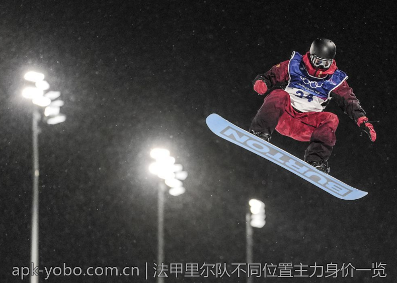 法甲里尔队不同位置主力身价一览
