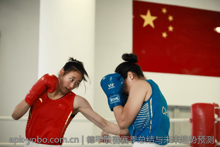 德甲联赛赛季总结与未来趋势预测