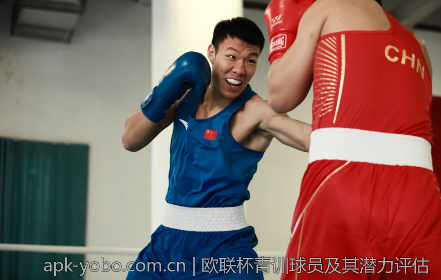 射箭装备维护保养全指南详解