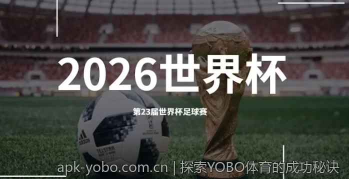 探索YOBO体育的成功秘诀