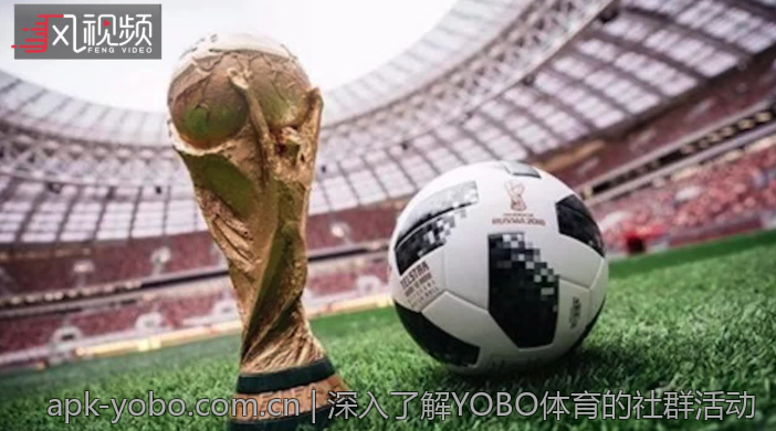 深入了解YOBO体育的社群活动