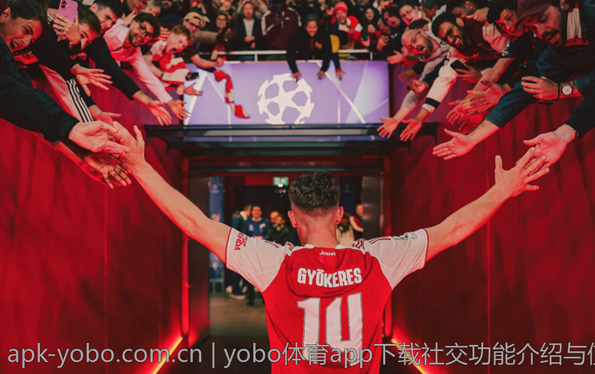 yobo体育app下载社交功能介绍与使用